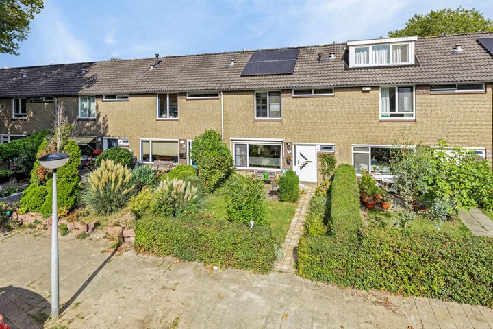 Zwammerdampad 11, 6843LT Arnhem