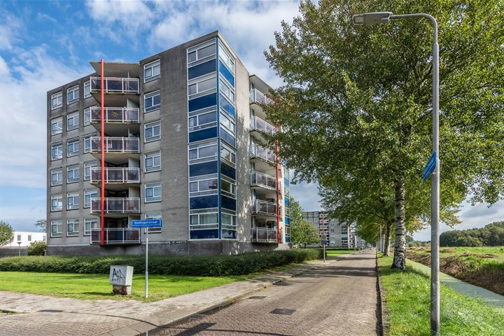 Steltloperstraat 79, 2623NV Delft