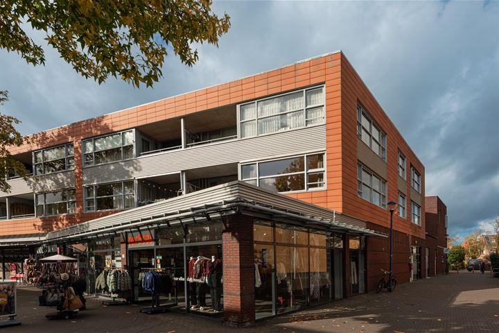 Ripolinpad 1, 1223DG Hilversum