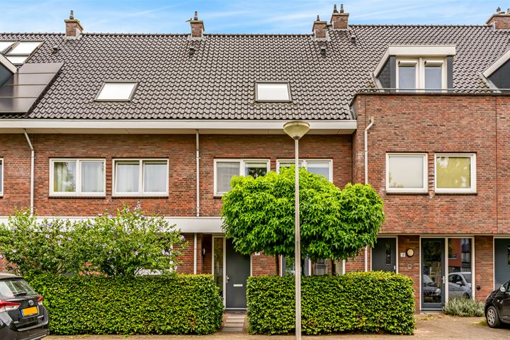 Paardenbloemsingel 17, 3452BS Vleuten