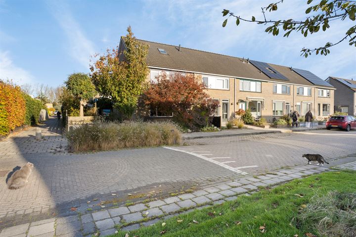 Penningkruid 59, 8607DH Sneek