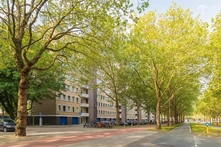 Van Nijenrodeweg 682, 1082JB Amsterdam