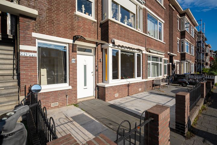 Damasstraat 219, 2522TP 's-Gravenhage