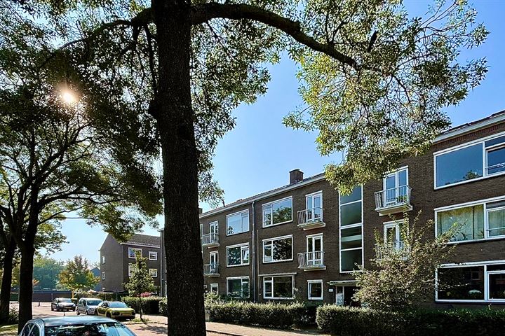 Wijnandt van Elststraat 70, 2282HJ Rijswijk