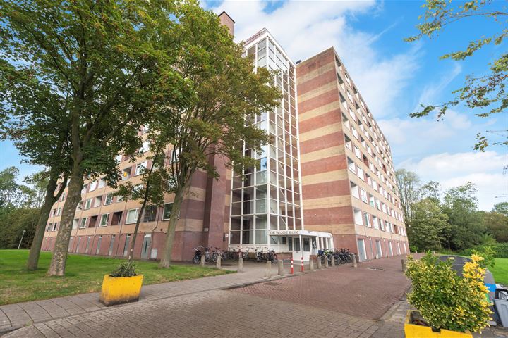 Fluitekruidweg 327, 1508AH Zaandam