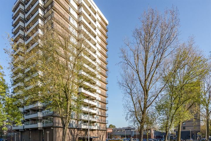 Groenhof 333, 1186GK Amstelveen