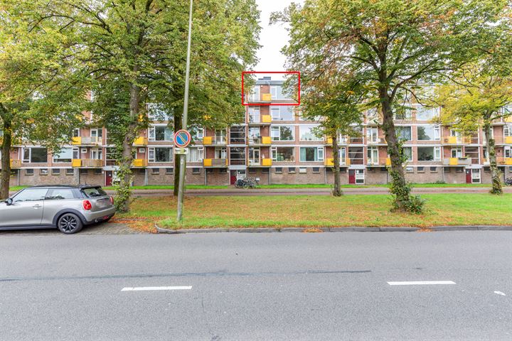 Moezeldreef 225, 3561GB Utrecht