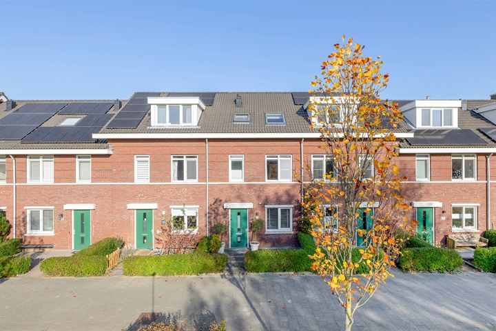 Soldanellestraat 9, 3053HV Rotterdam