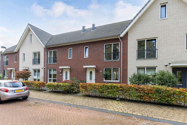 Compagnie 55, 8333DJ Steenwijk