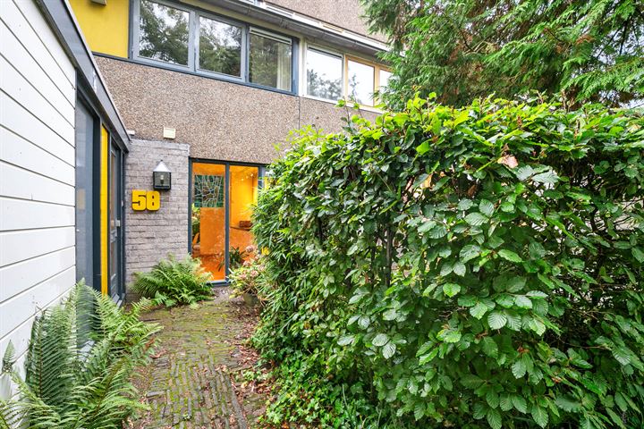 Bloemstede 58, 3608TH Maarssen