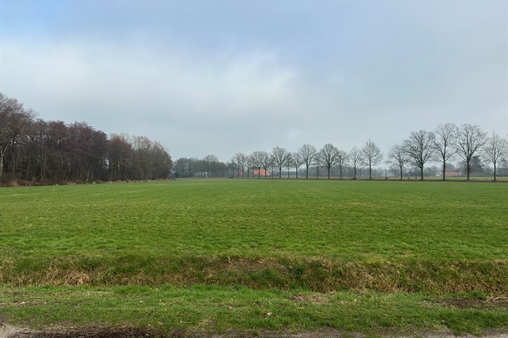 W.-B.-Scheidingsweg 6, 7496PL Hengevelde