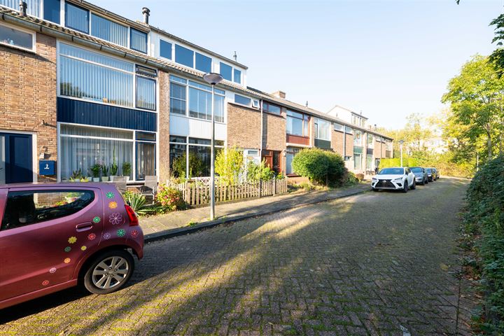 Willem Buyteweghstraat 9, 3202EX Spijkenisse