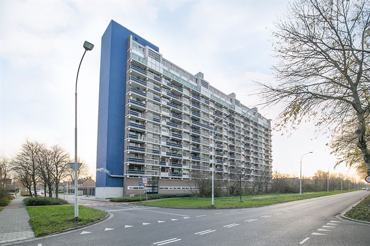 Fahrenheitlaan 622, 4532JW Terneuzen