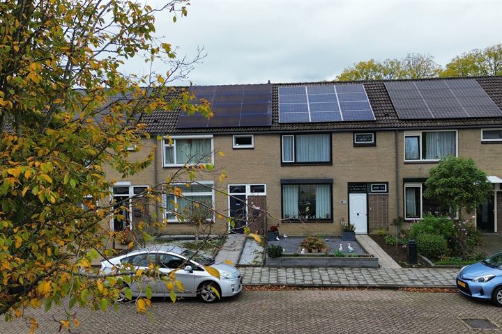 Willem Barentszstraat 10, 4535BD Terneuzen