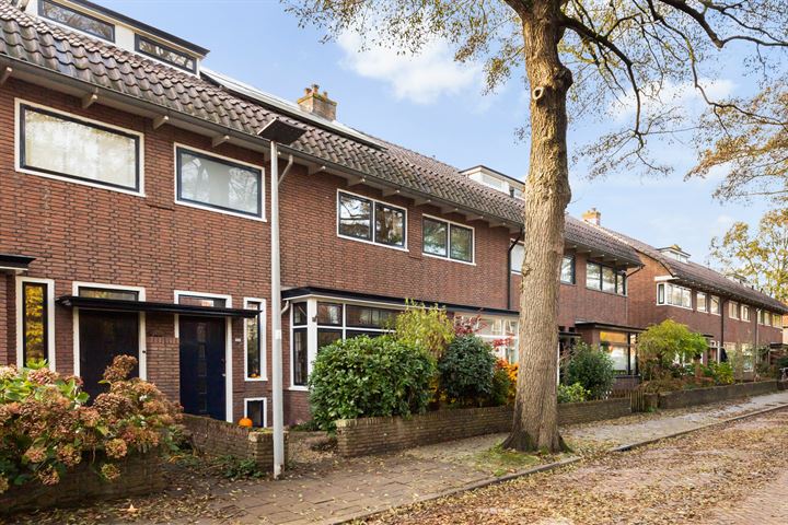 Leeuwerikstraat 23, 3443AX Woerden