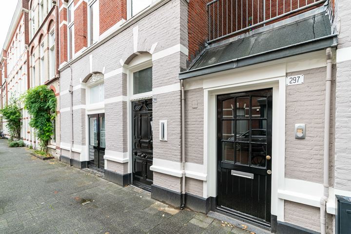 Newtonstraat 297, 2562KK 's-Gravenhage