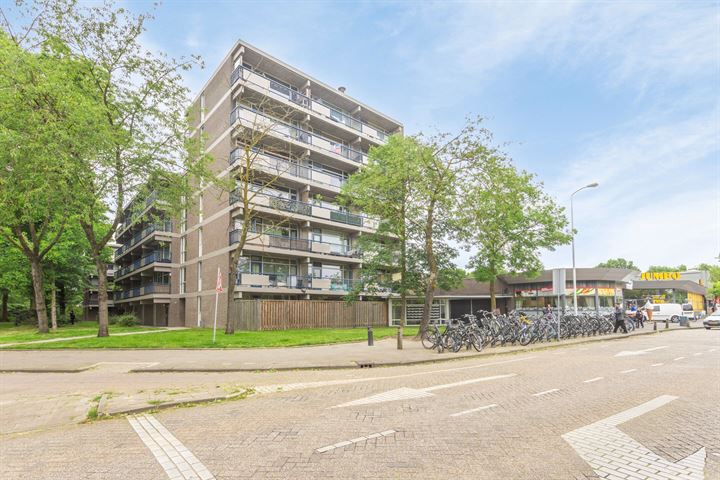 Kastelenplein 115, 5653LS Eindhoven