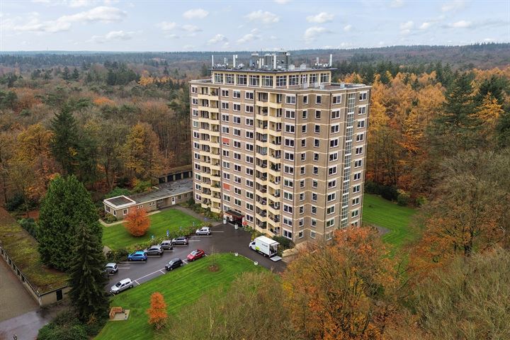 Soerenseweg 125, 7313EK Apeldoorn