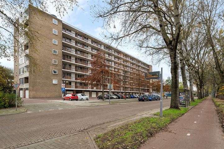 Abeelweg 156, 3053PD Rotterdam