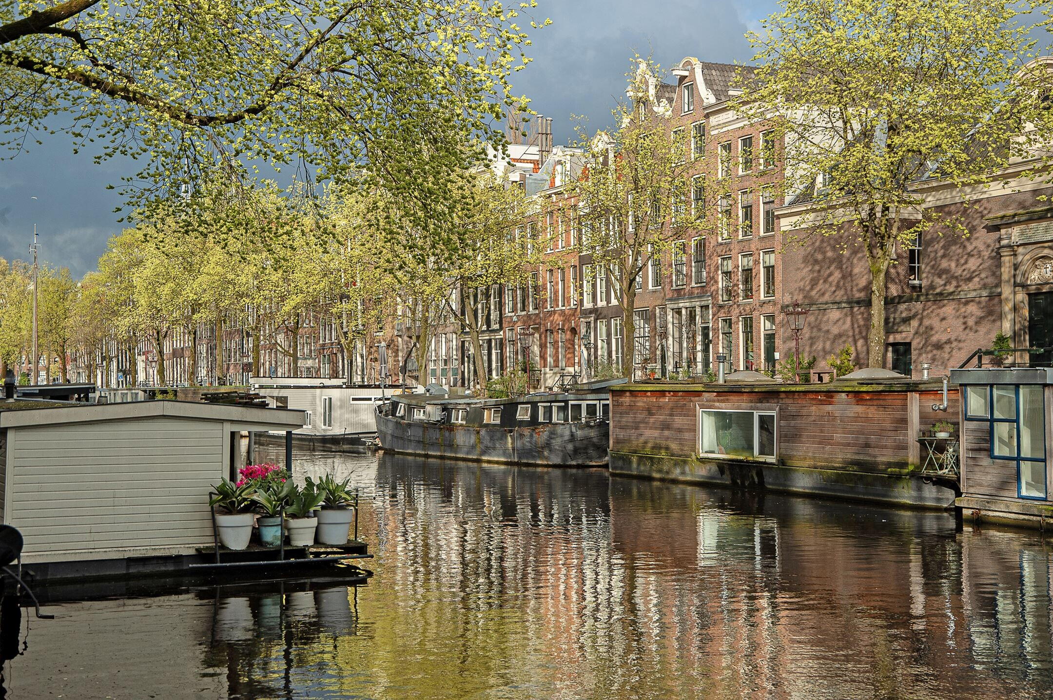 Dutch Brokers Makelaardij