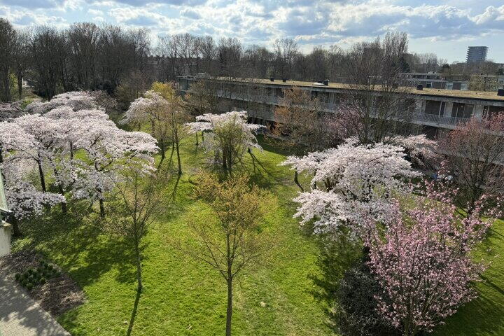 Foto 34 - Adolphine Eduardine Kokplantsoen 74, Amsterdam