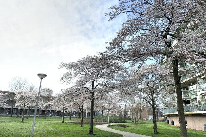 Foto 36 - Adolphine Eduardine Kokplantsoen 74, Amsterdam