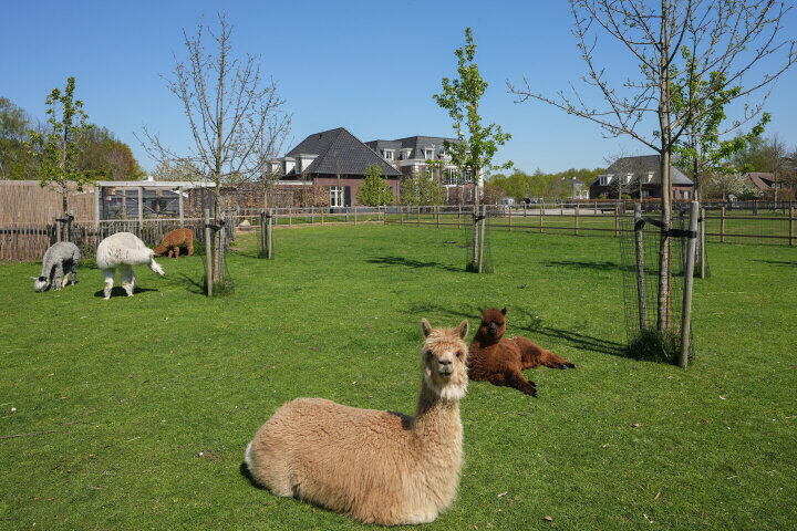 Foto 31 - Akkerweg 19, Wijchen