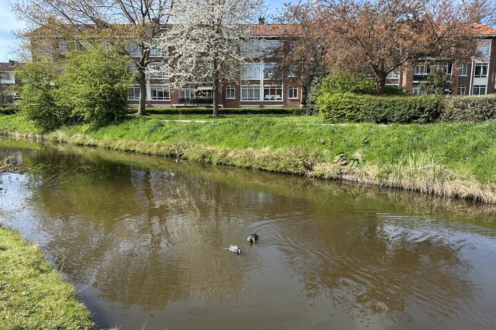 Foto 4 - Alberdingk Thijmkade 6, Voorburg