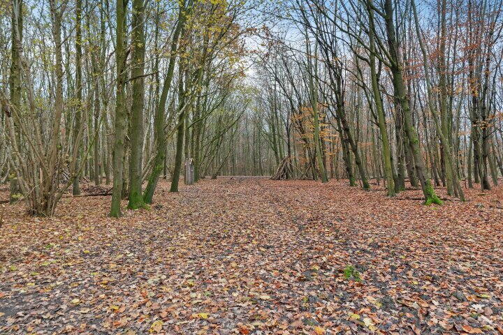 Foto 44 - Albert Einsteinstraat 52, Almere