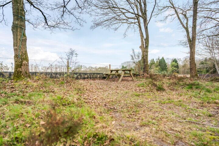 Foto 18 - Amerika 10 R117, Een