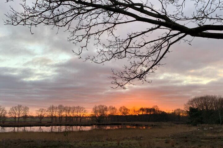 Foto 51 - Amerika 10 R117, Een