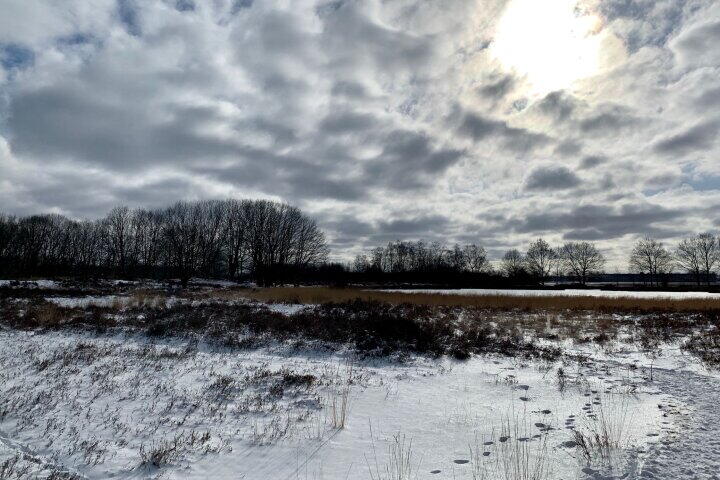 Foto 52 - Amerika 10 R117, Een