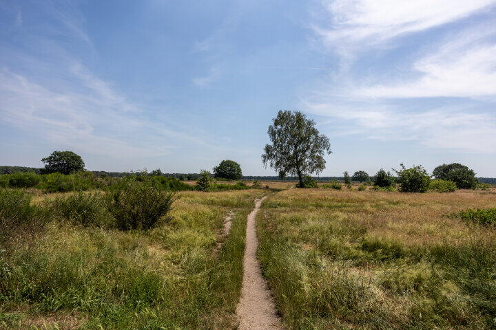 Foto 27 – Anthonie Fokkerstraat 52, Bussum