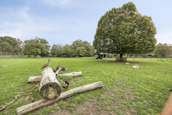 Foto 40 - Antoniusstraat 11, Wijchen