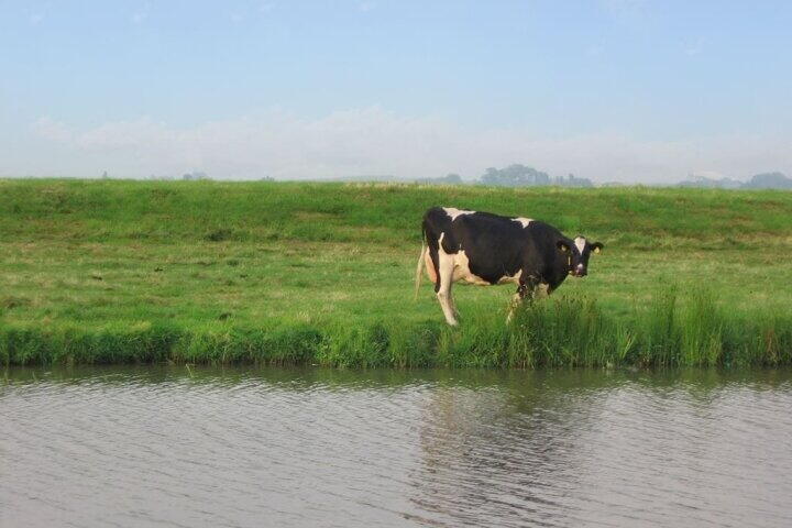 Foto 50 - Arenastraat 91, Den Haag