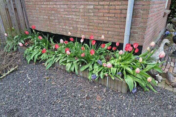Foto 52 – Bakkerswijk 101, Elim