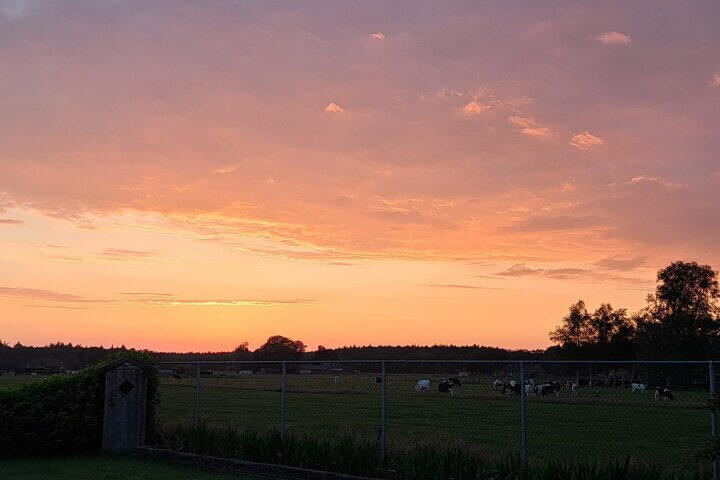 Foto 56 – Bakkerswijk 101, Elim