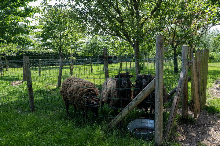 Foto 55 – Baron van Keverbergweg 47, Almere