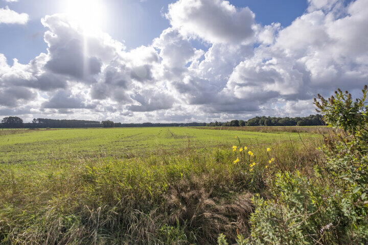 Foto 56 – Beilerweg 20, Wijster