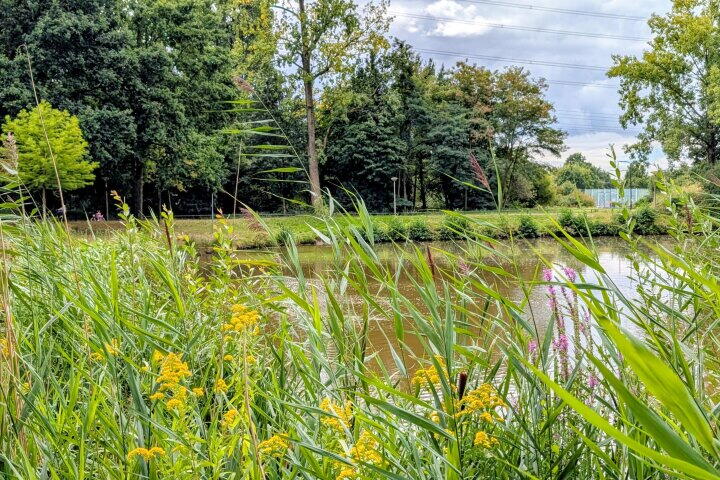 Foto 51 - Belgiëlaan 266, Enschede