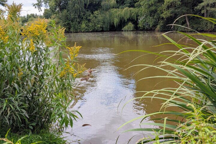 Foto 52 - Belgiëlaan 266, Enschede