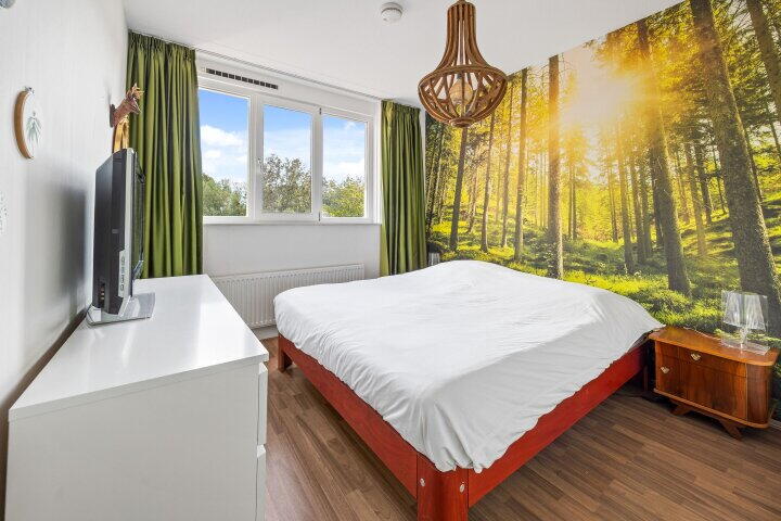 Foto 29 - Bellemeerstraat 25, Den Haag