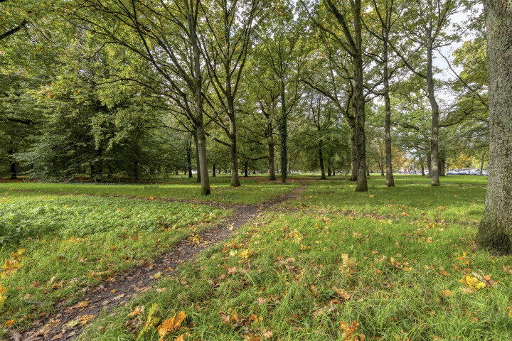 Foto 33 – Bellevuelaan 275, Haarlem