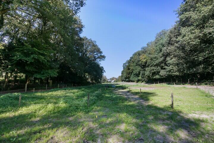 Foto 34 – Berg en Dalseweg 390, Nijmegen
