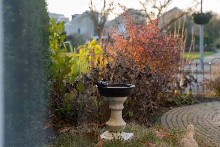 Foto 50 - Beukenhof 29, Lelystad