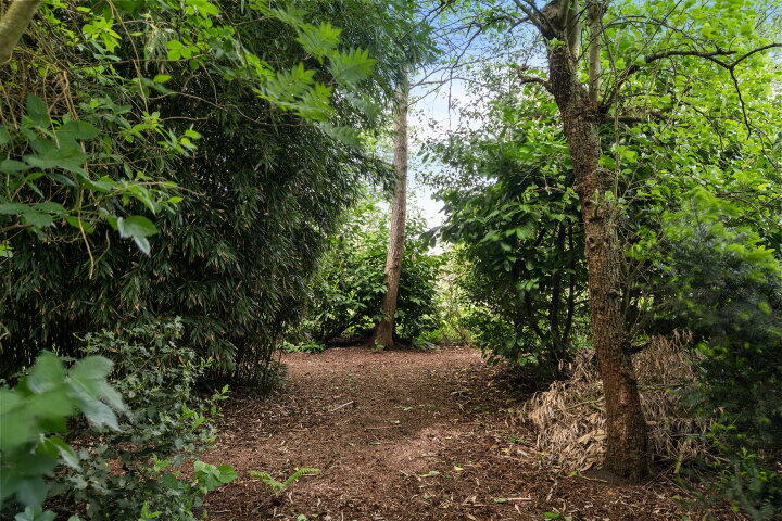 Foto 14 – Beulakerweg 12, Giethoorn