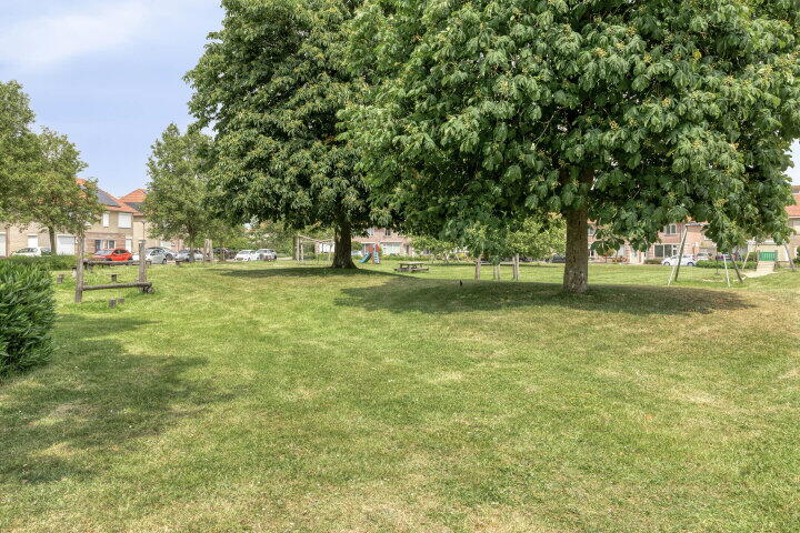 Foto 53 – Bieslook 2, Oud Gastel