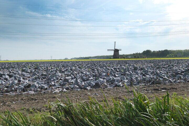 Foto 39 – Binnenkruier 44, Stompetoren
