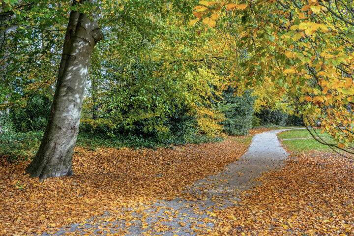 Foto 47 - Bisschopsweg 64, Amersfoort