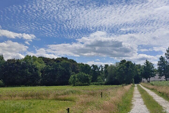 Foto 48 - Bisschopswijk 3, Nieuw-Roden